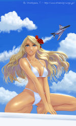 Rule 34 | 1girl, aircraft, airplane, bikini, blonde hair, blue eyes, breasts, cameltoe, cleavage, cloud, day, f-4 phantom ii, fighter jet, flower, hair flower, hair ornament, highres, jet, large breasts, long hair, looking at viewer, military, military vehicle, original, outdoors, red flower, red rose, rose, signature, sky, smile, solo, spread legs, squatting, swimsuit, underboob, urushizawa takayuki, watermark, web address, white bikini