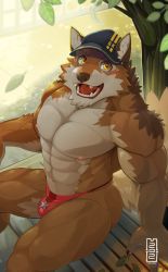 Rule 34 | 1boy, abs, animal ears, ass, bara, barrel (live a hero), baseball cap, beige fur, bench, bikini briefs, black tank top, branch, brown fur, bulge, dog boy, dog ears, dog tail, furry, furry male, hat, large pectorals, live a hero, looking at viewer, male focus, male underwear, mumuthelion, muscular, navel, nipples, orange fur, pectorals, red male underwear, shade, short hair, shorts, sitting, solo, sparkling eyes, tail, tank top, thick thighs, thighs, tree, underwear, underwear only, white shorts