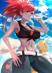 Rule 34 | 1girl, belt, blue sky, blush, bottle, breasts, creatures (company), crop top, day, denim, drinking, flannery (pokemon), game freak, gen 3 pokemon, gym leader, hand on own hip, highres, large breasts, long hair, looking at viewer, midriff, navel, nintendo, outdoors, pants, pokemon, pokemon (creature), pokemon oras, ponytail, red eyes, red hair, sketch, sky, standing, sweat, torkoal, uenoryoma, water bottle