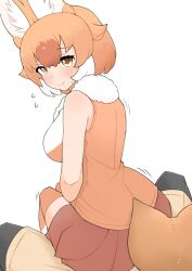 Rule 34 | 1boy, 1girl, animal ear fluff, animal ears, blush, breasts, brown hair, brown skirt, brown thighhighs, captain (kemono friends), closed mouth, commentary request, dhole (kemono friends), dog ears, dog girl, dog tail, feet out of frame, hair between eyes, hetero, highres, illu (illu stratos), kemono friends, kemono friends 3, large breasts, looking at viewer, medium bangs, multicolored hair, pleated skirt, short hair, simple background, sitting, sitting on person, skirt, smile, solo focus, tail, thighhighs, trembling, white background, white hair, yellow eyes