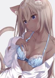 Rule 34 | 1girl, absurdres, animal ear fluff, animal ears, bare shoulders, blue bra, bra, breasts, brown hair, buttons, cat ears, cat girl, cat tail, cleavage, closed mouth, collarbone, commentary request, dark skin, dark-skinned female, grey background, hand on own chest, highres, jimmy madomagi, long hair, long sleeves, looking away, medium breasts, mole, mole under eye, open clothes, open shirt, original, purple eyes, shirt, solo, tail, underwear, upper body, white shirt