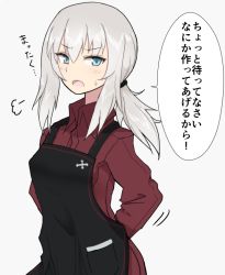 Rule 34 | 10s, 1girl, alternate hairstyle, apron, arms behind back, blue eyes, cross, girls und panzer, hinomaru (futagun), itsumi erika, long hair, long sleeves, looking at viewer, low ponytail, open mouth, ponytail, red shirt, shirt, silver hair, simple background, solo, translated