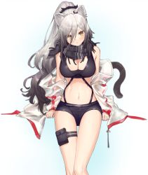 Rule 34 | 1girl, animal ears, arknights, arm support, bare shoulders, black hair, black scarf, black shorts, blush, breasts, cat ears, cat tail, cleavage, closed mouth, crop top, earrings, feet out of frame, gradient hair, hair between eyes, hair ornament, head tilt, invisible chair, jacket, jewelry, large breasts, long hair, long sleeves, looking at viewer, midriff, multicolored hair, multiple earrings, navel, open clothes, open jacket, ponytail, pouch, scarf, schwarz (arknights), see-through, short shorts, shorts, silver hair, sitting, sleeveless, solo, strap, tail, thigh gap, thigh pouch, thigh strap, uhhgaoh, white background, white jacket, yellow eyes
