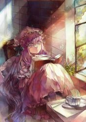 Rule 34 | 1girl, bad id, bad pixiv id, book, bug, butterfly, butterfly on nose, cup, dress, female focus, hat, insect, long hair, open book, paper, patchouli knowledge, purple eyes, purple hair, sitting, solo, teacup, touhou, vima, wide-eyed, window