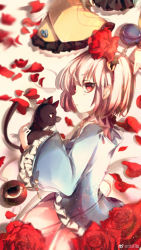 Rule 34 | 2girls, animal, artist name, black cat, blouse, blue shirt, blush, cat, chinese commentary, closed mouth, commentary, expressionless, flower, frilled sleeves, frills, from above, hair ornament, heart, heart hair ornament, highres, holding, holding animal, holding cat, holding flower, kaenbyou rin, kaenbyou rin (cat), komeiji koishi, komeiji satori, leaf, long sleeves, looking at viewer, lying, multiple girls, on side, out of frame, petals, pink hair, pink skirt, profile, red eyes, red flower, red rose, rose, rose petals, shirt, short hair, siblings, sideways glance, sisters, skirt, sleeves past fingers, sleeves past wrists, third eye, thorns, touhou, weibo logo, weibo watermark, wide sleeves, yellow shirt, yinyong yu