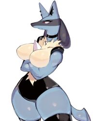 Rule 34 | animal ears, beige fur, black fur, blue fur, breasts, choker, creatures (company), dog ears, dog girl, dog tail, ear piercing, furry, furry female, game freak, gen 4 pokemon, large breasts, lucario, nintendo, piercing, pokemon, pokemon (creature), red eyes, spikes, tail, thick thighs, thighhighs, thighs, usa37107692, wide hips