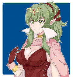 Rule 34 | 1girl, blue background, breasts, cape, cleavage, fire emblem, fire emblem awakening, gloves, green eyes, green hair, high collar, highres, large breasts, nintendo, pointy ears, ponytail, red gloves, smile, solo, tiki (adult) (fire emblem), tiki (fire emblem)
