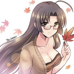 Rule 34 | 10s, 1girl, ahoge, artist name, autumn leaves, bare shoulders, breasts, brown eyes, brown hair, cleavage, collarbone, eyebrows, falling leaves, glasses, hair intakes, highres, holding, holding leaf, kantai collection, leaf, long hair, looking at viewer, medium breasts, one-hour drawing challenge, sarashi, shouhou (kancolle), smile, solo, the-sinner, upper body, white background