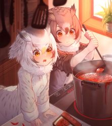 Rule 34 | 2girls, akuma (st.takuma), arm support, bird girl, black hair, blush, brown hair, brown jacket, chili pepper, closed mouth, coat, cooking, drooling, eurasian eagle owl (kemono friends), food, gradient hair, hair between eyes, highres, indoors, jacket, kemono friends, kitchen, ladle, leaning forward, long sleeves, multicolored hair, multiple girls, northern white-faced owl (kemono friends), open mouth, orange eyes, owl ears, owl girl, plant, pot, potted plant, red eyes, silver hair, soup, spatula, steam, tongs, v-shaped eyebrows, white coat