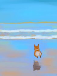 Rule 34 | animal, beach, commentary, dog, english commentary, floating, highres, no humans, original, pastensofdraw, reflection, running, sky, waves, welsh corgi