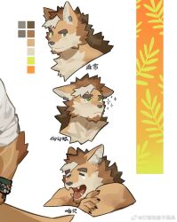 Rule 34 | 1boy, bara, cropped, cropped shoulders, expressions, facial hair, fangs, furrification, furry, furry male, gh himainu, highres, male focus, mature male, muscular, muscular male, original, pectorals, pleading eyes, short hair, sideburns, sparkling aura, stubble, tearing up, thick eyebrows, yawning