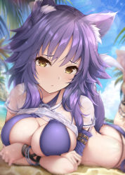 Rule 34 | 1girl, animal ear fluff, animal ears, arm strap, arms under breasts, ass, beach, bikini, blue sky, blurry, blurry background, blush, bracelet, breasts, brown eyes, cleavage, clothes lift, criss-cross halter, day, feet up, garana, hair between eyes, halterneck, highres, jewelry, large breasts, lens flare, looking at viewer, lying, makoto (princess connect!), makoto (summer) (princess connect!), medium hair, on stomach, palm tree, princess connect!, purple bikini, purple hair, see-through, shirt, shirt lift, short sleeves, sidelocks, sky, solo, sunlight, swimsuit, tail, tree, wet, wet clothes, wet shirt, wolf ears, wolf girl, wolf tail