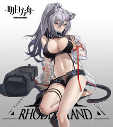 Rule 34 | 1girl, absurdres, animal ear fluff, animal ears, arknights, arm support, bag, bare legs, bare shoulders, black scarf, black shorts, grabbing another&#039;s breast, breasts, cat ears, cat tail, chinese commentary, cleavage, commentary request, copyright name, crop top, feet out of frame, fishnets, grabbing, grabbing own breast, gradient background, grey background, guangsupaomian, hair between eyes, hand up, highres, jacket, large breasts, long hair, looking at viewer, midriff, navel, off shoulder, open clothes, open fly, open jacket, panties, scarf, schwarz (arknights), see-through, shadow, short shorts, shorts, silver hair, sitting, solo, stomach, tail, thigh strap, thighs, underwear, white background, yellow eyes