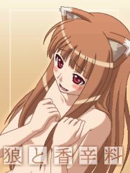 Rule 34 | 00s, 1girl, animal ears, holo, lowres, nude, solo, spice and wolf, wolf ears