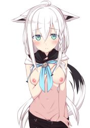 Rule 34 | 1girl, ahoge, animal ears, bikini, blue eyes, blue neckwear, blush, breast hold, breasts, breasts out, cleft of venus, closed mouth, clothes pull, fox ears, fox girl, fox tail, frown, fuji yoshida, highres, hololive, long hair, medium breasts, nipples, no bra, no panties, pussy, shirakami fubuki, shirakami fubuki (1st costume), shirt pull, shorts, shorts pull, simple background, solo, standing, stomach, swimsuit, tail, thighhighs, uncensored, virtual youtuber, white hair