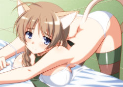 Rule 34 | 1girl, ahoge, animal ears, areola slip, ass, bare shoulders, bed, bent forward, blonde hair, blue eyes, blush, bra, braid, breasts, cat ears, cat tail, cleavage, collarbone, green neckwear, green ribbon, hair ribbon, isa, large breasts, leaning forward, long hair, looking at viewer, lynette bishop, necktie, off shoulder, panties, ribbon, shiny skin, strike witches, striped clothes, striped thighhighs, tail, thighhighs, underwear, underwear only, white bra, white panties, world witches series