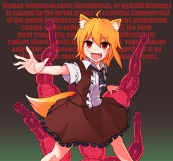 Rule 34 | 1girl, ahoge, animal ear fluff, animal ears, asymmetrical hair, bacteria, black necktie, blonde hair, brown skirt, brown vest, collared shirt, commentary request, cookie (touhou), english text, feet out of frame, fox ears, fox girl, fox tail, frilled skirt, frills, looking at viewer, medium hair, miramikaru riran, necktie, open mouth, red eyes, shirt, short sleeves, sidelocks, skirt, smile, solo, tail, vest, white shirt, yan pai