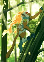 Rule 34 | absurdres, blurry, chimchar, climbing, closed mouth, commentary request, creatures (company), day, fire, from side, game freak, gen 4 pokemon, highres, infernape, komepan, light rays, nintendo, open mouth, outdoors, pokemon, pokemon (creature), riding, riding pokemon, tree