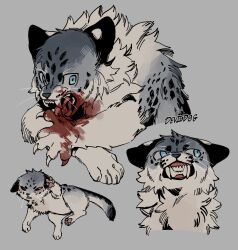 Rule 34 | animal, animalization, artist name, blood, blood on face, blue eyes, claws, clenched teeth, commentary, deviidog0, english commentary, full body, grey background, highres, looking at viewer, looking to the side, multiple views, no humans, open mouth, original, simple background, snow leopard, tail, teeth