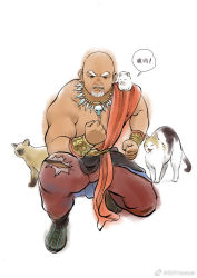 Rule 34 | 1boy, animal, animal on shoulder, bald, bara, beard, bull, cat, cat on shoulder, clenched hands, dark-skinned male, dark skin, ears down, facial hair, full body, goatee, hissing, jewelry, junsun, looking at viewer, male focus, mature male, muscular, muscular male, mustache, necklace, old, old man, original, painterly, pants, pectorals, red pants, sash, skull necklace, solo, thick eyebrows, tooth necklace, torn clothes, torn pants, traditional media, tribal, weibo logo, weibo watermark, white background