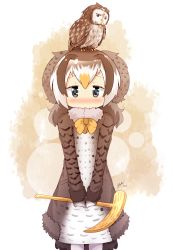Rule 34 | 10s, 1girl, 2017, animal, animal on head, artist name, bird, black eyes, blonde hair, blush, brown hair, cane, coat, commentary, fur collar, fur trim, gloves, head wings, highres, holding, kemono friends, kyuushuu owl, kyuushuu owl (kemono friends), long hair, long sleeves, looking at viewer, multicolored hair, nose blush, on head, owl, own hands together, parted lips, signature, standing, v arms, white gloves, white hair, wings, yogurtm