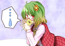 Rule 34 | ..., 1girl, ascot, bespectacled, blush, covering own mouth, daisy, female focus, flower, glasses, green hair, hair flower, hair ornament, hand clasped, hane (hanegoya), holding, holding flower, kazami yuuka, leaning forward, looking at viewer, own hands clasped, own hands together, plaid, plaid skirt, plaid vest, purple background, red eyes, short hair, skirt, skirt set, smile, solo, spoken sweatdrop, sunflower, sweatdrop, touhou, vest