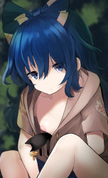 Rule 34 | 1girl, amekosame, bare legs, blue bow, blue eyes, blue hair, bow, breasts, downblouse, drawstring, expressionless, hair between eyes, hair bow, hood, hoodie, inverted nipples, long hair, looking at viewer, nipples, no bra, short sleeves, sitting, small breasts, solo, stuffed animal, stuffed cat, stuffed toy, touhou, yorigami shion
