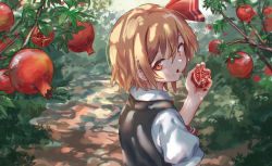 Rule 34 | 1girl, :o, black vest, blonde hair, blush, commentary request, eating, food, food on face, from behind, fruit, hair between eyes, hair ribbon, head tilt, holding, holding food, holding fruit, leaf, looking at viewer, looking back, open mouth, outdoors, pomegranate, puffy short sleeves, puffy sleeves, red eyes, red neckwear, red ribbon, ribbon, roke (taikodon), rumia, shirt, short hair, short sleeves, solo, touhou, upper body, vest, white shirt