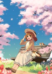 Rule 34 | 1girl, :d, animal, arisa (aren), arm up, artist name, bench, bird, black eyes, blush, brown cardigan, brown footwear, brown hat, buttons, cardigan, cat, cherry blossoms, day, dress, eyes visible through hair, falling petals, flower, full body, grass, hand on own knee, hat, long dress, medium hair, on bench, open cardigan, open clothes, open mouth, orange eyes, orange hair, original, outdoors, park bench, petals, plant, puffy sleeves, red flower, shoe soles, shoes, signature, sitting, sleeves past elbows, smile, solo, tree, tulip, white dress, wind