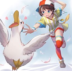 Rule 34 | 1girl, absurdres, animal, aqua eyes, backwards hat, baseball cap, bird, brown hair, chasing, duck, hat, heart, highres, holding, holding clothes, holding hat, hololive, looking at another, loose clothes, loose shirt, megaphone, oozora subaru, oozora subaru (1st costume), oversized clothes, oversized shirt, reaching, reaching towards viewer, red headwear, running, shirt, shoes, short hair, short shorts, short sleeves, shorts, sneakers, stopwatch, stopwatch around neck, striped clothes, striped shirt, subaru duck, sweatband, swept bangs, t-shirt, thighhighs, tied shirt, tokisaka makoto, two-tone headwear, v-neck, vertical-striped clothes, vertical-striped shirt, virtual youtuber, watch, whistle, whistle around neck, white footwear, white headwear, white shirt, white shorts, wristband, yellow shirt