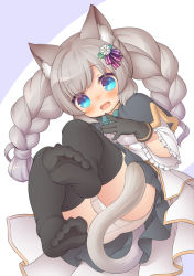 Rule 34 | 1girl, :d, animal ear fluff, animal ears, barefoot, black gloves, black thighhighs, blue bow, blue bowtie, blue capelet, blue eyes, blue skirt, blush, borrowed character, bow, bowtie, braid, breasts, capelet, cat ears, cat tail, center frills, commentary request, commission, daisy, dutch angle, feet, feet up, finger to own chin, flower, foot focus, frills, gloves, gold trim, grey hair, hair flower, hair ornament, hand up, kupuru (hirumamiyuu), looking at viewer, open mouth, original, panties, simple background, skeb commission, skirt, sleeves past elbows, small breasts, smile, soles, solo, tail, thighhighs, toes, twin braids, twintails, underwear, upskirt, white background, white flower, white panties, wide sleeves