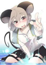 Rule 34 | 1girl, aki (akikaze asparagus), animal ears, blush, grey hair, jewelry, mouse ears, mouse tail, nazrin, open mouth, pendant, red eyes, short hair, smile, solo, tail, touhou, water, wet, wet clothes