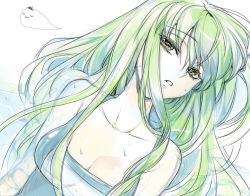 Rule 34 | 1girl, breasts, c.c., cleavage, code geass, creayus, female focus, green hair, long hair, small breasts, solo, upper body, wet, white background, yellow eyes