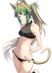 Rule 34 | 1girl, ahoge, animal ears, anklet, atalanta (fate), barefoot, black panties, breasts, brown hair, cat ears, cat tail, cleavage, collarbone, fate/apocrypha, fate (series), floating hair, green eyes, green hair, groin, hair ornament, jewelry, leg up, long hair, looking at viewer, multicolored hair, navel, panties, parted lips, ponytail, sidelocks, simple background, small breasts, solo, standing, standing on one leg, tail, tanaka arumi, two-tone hair, underwear, very long hair, white background