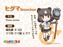 Rule 34 | 1girl, animal ears, brown bear (kemono friends), extra ears, kemono friends, looking at viewer, official art, simple background, solo, tail, yoshizaki mine