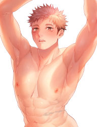 Rule 34 | 1boy, abs, arms up, bara, blush, brown eyes, ccccc (jpn m0), completely nude, facial hair, highres, itadori yuuji, jujutsu kaisen, large pectorals, looking at viewer, male focus, muscular, muscular male, navel, nipples, nude, open mouth, pectorals, pink hair, short hair, solo, twitter username, undercut, upper body