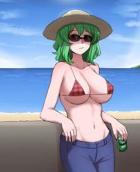 Rule 34 | 1girl, alcohol, beach, beer, beer can, bikini, bikini top only, bird, breasts, can, denim, drink can, green hair, hat, highres, jeans, kazami yuuka, leaning back, leaning on object, looking at viewer, mata (matasoup), medium hair, navel, ocean, pants, plaid, plaid bikini, red eyes, seagull, sky, solo, straw hat, sunglasses, swimsuit, touhou