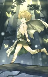 Rule 34 | 1boy, bad id, bad pixiv id, barefoot, blonde hair, bug, butterfly, child, elf, forest, from behind, full body, green eyes, highres, bug, looking back, male focus, nature, open mouth, original, pointy ears, robe, smile, solo, tree, yuki (vicious)