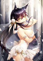 Rule 34 | 1girl, alternate costume, animal ear fluff, animal ears, arm under breasts, ass, atago (azur lane), azur lane, backless dress, backless outfit, bambi nano, black hair, blurry, blurry background, blush, breasts, bridal veil, bride, brown eyes, choker, church, cleavage, closed mouth, collarbone, dated, day, detached sleeves, dress, extra ears, floating hair, flower, from side, gold trim, hair ribbon, hand on own face, highres, indoors, lace, lace-trimmed legwear, lace trim, large breasts, long hair, looking at viewer, mole, mole under eye, ribbon, see-through, sidelocks, signature, smile, solo, swept bangs, thighhighs, thighs, transparent, veil, wedding dress, white dress, white thighhighs, wind, wind lift, window