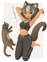 Rule 34 | 1girl, :d, animal, animal ear fluff, animal ears, animal request, armpits, bare arms, bare shoulders, barefoot, batta (kanzume quality), black hair, black pants, breasts, cleavage, commentary request, grey background, grey hair, looking at viewer, medium breasts, multicolored hair, navel, open mouth, original, pants, simple background, smile, solo, streaked hair, tail, translation request, two-tone background, white background