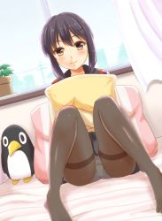 Rule 34 | 10s, 1girl, bedroom, black hair, black pantyhose, black skirt, brown eyes, closed mouth, curtains, dutch angle, failure penguin, fubuki (kancolle), hair ornament, hairclip, indoors, kantai collection, knees up, looking at viewer, md5 mismatch, hugging object, on bed, ookawa wataru, panties, panties under pantyhose, pantyhose, pantyshot, pillow, pillow hug, plant, potted plant, remodel (kantai collection), school uniform, serafuku, sitting, skirt, smile, solo, spread legs, thighband pantyhose, thighs, underwear, white panties, window