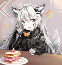 Rule 34 | 1girl, animal ears, arknights, black jacket, cake, commentary request, fingerless gloves, flying sweatdrops, food, fork, fruit, gloves, grey eyes, grey gloves, hair between eyes, hair ornament, hairclip, hand up, hehehzb, high collar, highres, holding, holding fork, huge filesize, indoors, jacket, lappland (arknights), long hair, long sleeves, looking at viewer, open mouth, partial commentary, plate, scar, scar across eye, scar on face, silver hair, solo, strawberry, tail, upper body, wolf ears, wolf tail