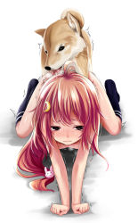 Rule 34 | 1girl, all fours, bestiality, closed mouth, crescent, crescent hair ornament, crying, dog, doggystyle, hair ornament, kantai collection, kneehighs, kurona, long hair, looking at viewer, nude, rabbit hair ornament, red eyes, red hair, sex, sex from behind, simple background, snot, socks, solo, solo focus, streaming tears, sweat, tears, trembling, uzuki (kancolle), white background
