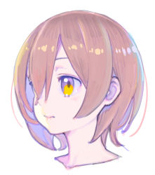 Rule 34 | 1girl, absurdres, brown hair, closed mouth, enkyo yuuichirou, hair over one eye, highres, hololive, multicolored eyes, one eye covered, portrait, purple eyes, roboco-san, short hair, simple background, solo, virtual youtuber, white background, yellow eyes