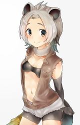 Rule 34 | 10s, 1girl, american beaver (kemono friends), animal ears, antenna hair, bangs pinned back, bare shoulders, beaver ears, beaver tail, bike shorts, bikini, bikini top only, blush, breasts, cleavage, closed mouth, collarbone, elbow gloves, fur collar, gloves, gradient hair, green eyes, grey hair, hair ornament, hairclip, highres, jacket, kemono friends, log, looking at viewer, minoco (sana moko), multicolored hair, navel, open clothes, open jacket, short hair, shorts, simple background, small breasts, smile, solo, stomach, swimsuit, tail, torn clothes, torn shorts, torn sleeves, white background, wood