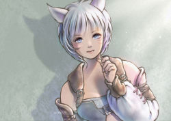 Rule 34 | 1girl, animal ears, artist name, warrior of light (ff14), blue eyes, cat ears, cat girl, closed mouth, detached sleeves, eyelashes, facial mark, final fantasy, final fantasy xiv, fingernails, hand up, highres, lips, long sleeves, looking at viewer, miqo&#039;te, pink lips, piyoco, short hair, silver hair, solo, whisker markings, white sleeves
