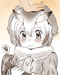 Rule 34 | 1girl, blush, coat, dot nose, eyelashes, fur collar, hair between eyes, head wings, headpat, highres, holding, kemono friends, long sleeves, northern white-faced owl (kemono friends), short hair, smile, solo focus, spoken squiggle, squiggle, suicchonsuisui, upper body, wings