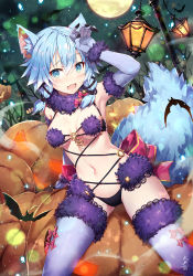 Rule 34 | 1girl, animal ear fluff, animal ears, arm up, armpits, bare tree, bat (animal), black panties, black ribbon, blue eyes, blue gloves, blue hair, blue thighhighs, blurry, blush, bokeh, bow, breasts, commentary request, cosplay, cross-laced clothes, depth of field, dutch angle, elbow gloves, fang, fate/grand order, fate (series), feet out of frame, full moon, fur trim, gabiran, glint, gloves, hair between eyes, hair ribbon, hand on own forehead, jack-o&#039;-lantern, lamppost, light particles, looking at viewer, mash kyrielight, mash kyrielight (dangerous beast), mash kyrielight (dangerous beast) (cosplay), medium breasts, medium hair, moon, night, night sky, o-ring, o-ring top, official alternate costume, open mouth, panties, pink bow, ribbon, scarf, sinon (sao-alo), sitting, skin fang, sky, solo, star (sky), starry sky, sword art online, tail, thighhighs, thighs, tree, underwear, wolf ears, wolf tail