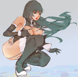 Rule 34 | 1girl, bad id, bad pixiv id, black gloves, black hair, braid, breasts, chinese clothes, crown braid, full body, fur trim, gloves, head dog, high heels, large breasts, long hair, looking at viewer, nipple slip, nipples, open mouth, solo, squatting