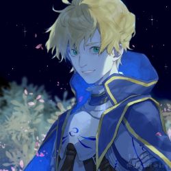 Rule 34 | 1boy, armor, armored dress, arthur pendragon (fate), blonde hair, blue cape, blue dress, breastplate, cape, dress, fate/grand order, fate/prototype, fate (series), field, flower, flower field, gauntlets, greaves, green eyes, hair between eyes, highres, looking at viewer, male focus, niannian0, night, night sky, outdoors, pauldrons, petals, short hair, shoulder armor, sky, smile, solo, upper body